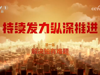 《持续发力纵深推进》 第1集 解决独有难题