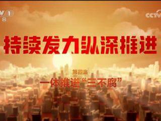 《持续发力纵深推进》 第4集 一体推进“三不腐”
