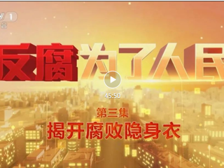 第三集《揭开腐败隐身衣》